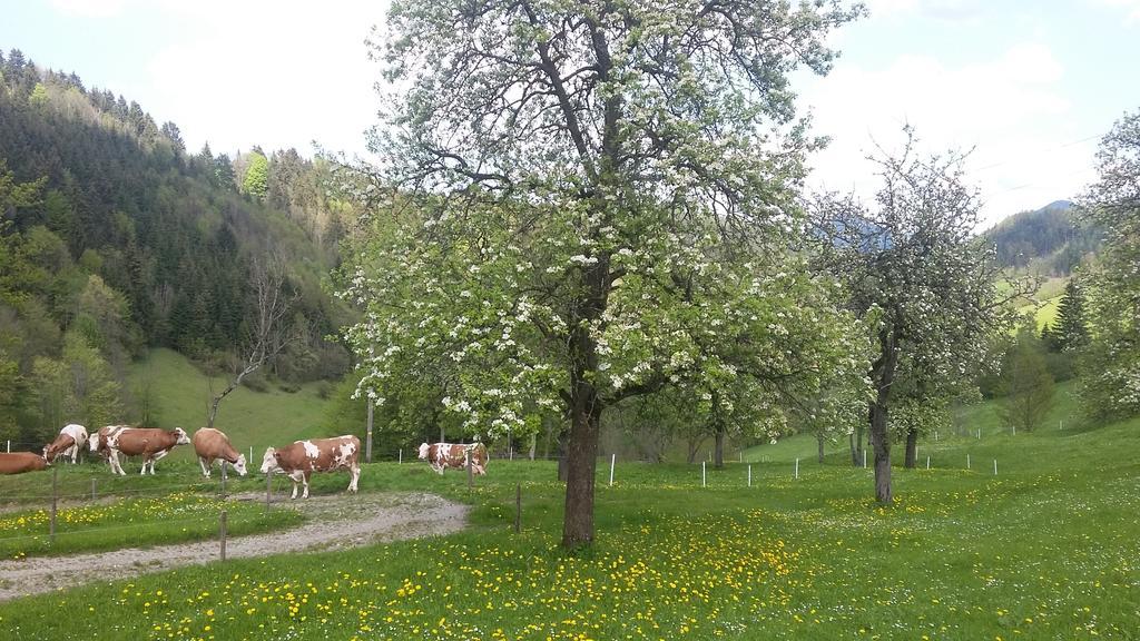 Sankt Anton an der Jessnitz Eggbauer 빌라 외부 사진